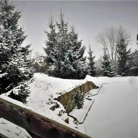 Cottage Ozerniy Lazeshchyna Buitenkant foto