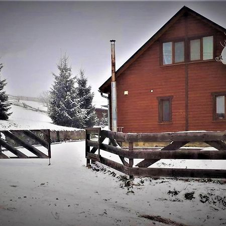 Cottage Ozerniy Lazeshchyna Buitenkant foto